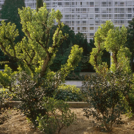 Jardin Atlantique in Paris