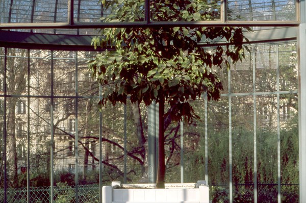 Square des Batignolles à Paris