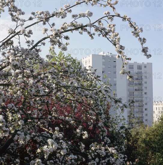 Parc de Belleville à Paris