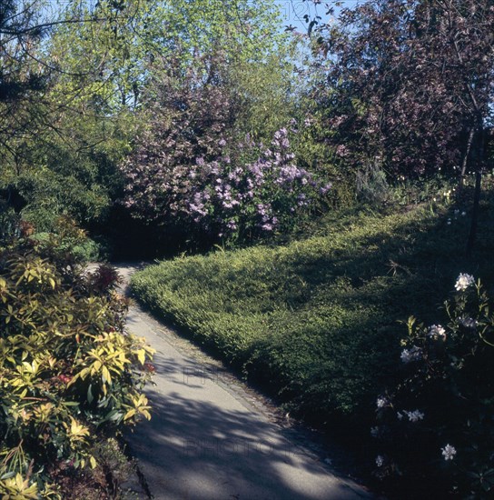 Parc de Belleville à Paris