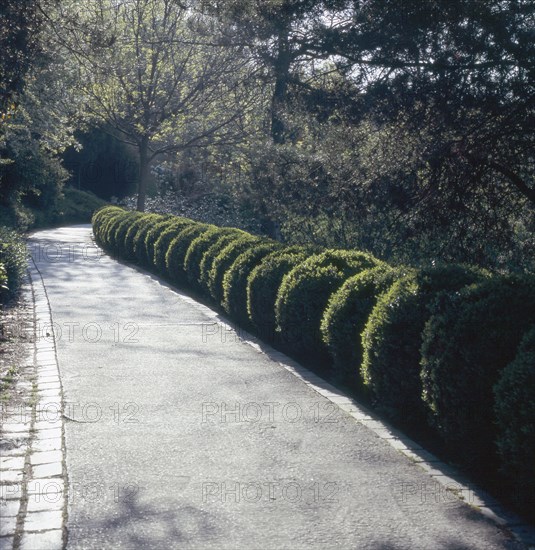 Parc de Belleville à Paris