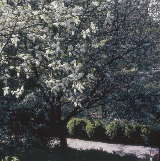 Parc de Belleville à Paris