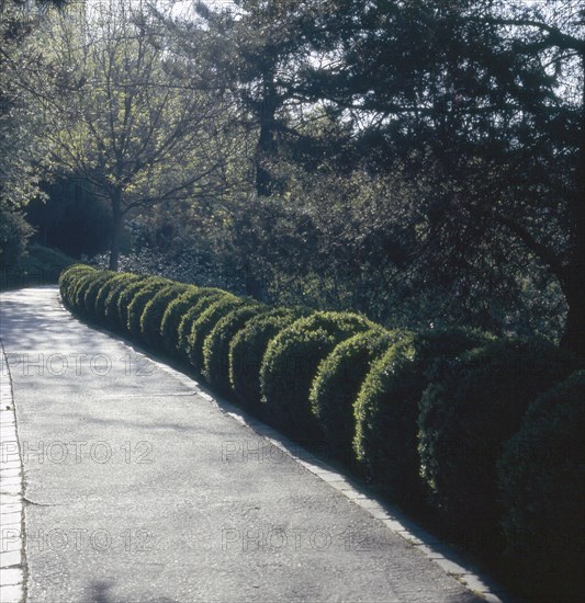 Parc de Belleville à Paris