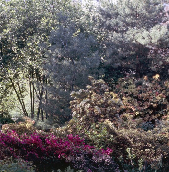 Parc de Belleville à Paris