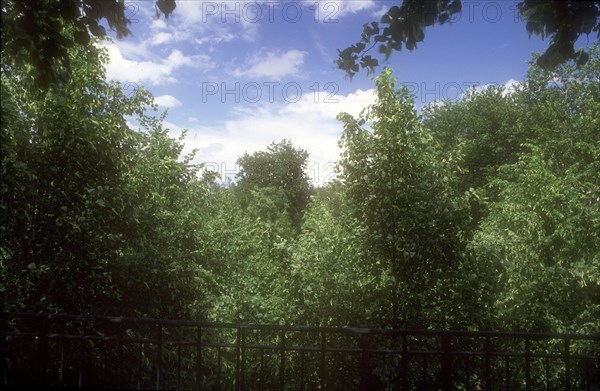 Parc de Bercy à Paris