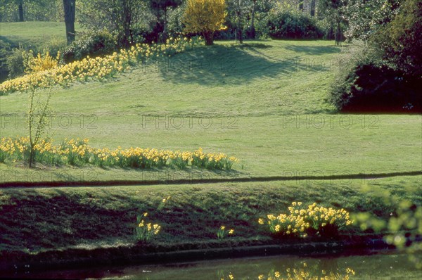 Bois de Boulogne