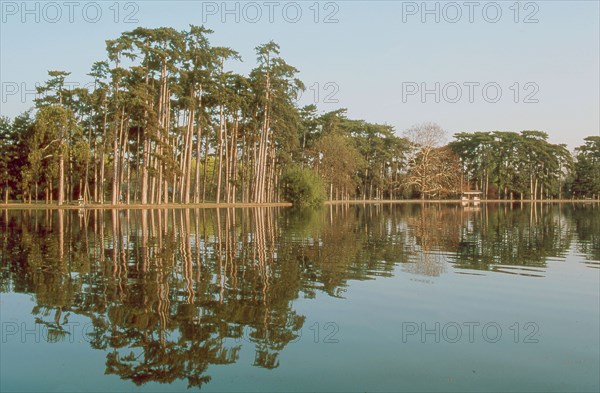 Bois de Boulogne in Paris