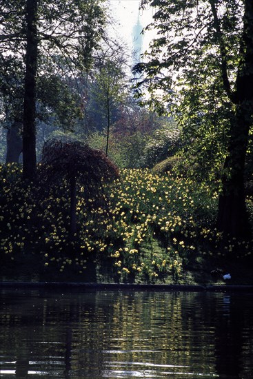 Bois de Boulogne in Paris
The Eiffel Tower in the background