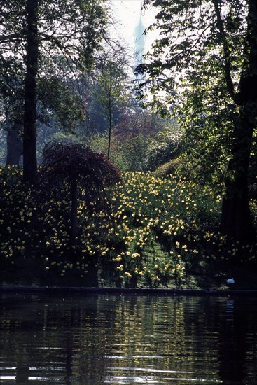 Bois de Boulogne
La Tour Eiffel en arrière-plan