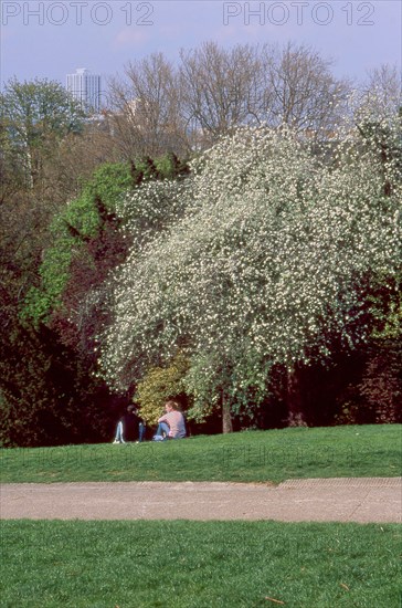 Buttes-Chaumont garden in Paris