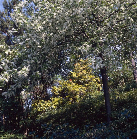 Butte du Chapeau Rouge garden in Paris