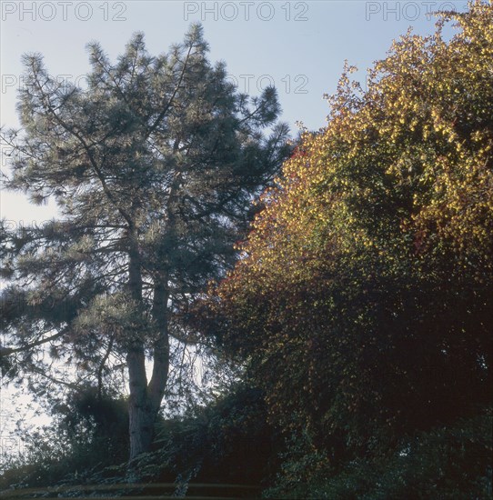 Butte du Chapeau Rouge garden in Paris