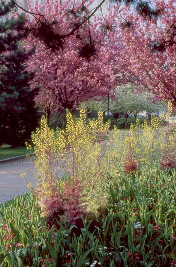 Parc Georges Brassens à Paris