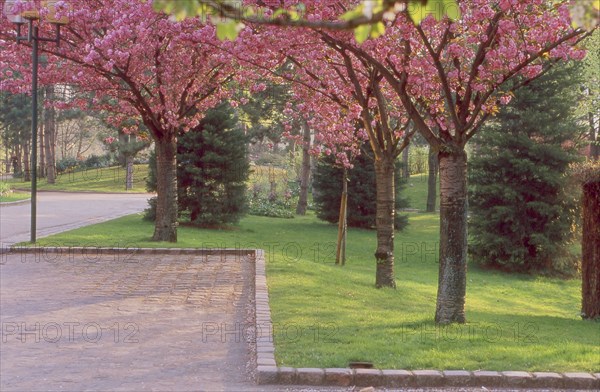 Parc Georges Brassens à Paris