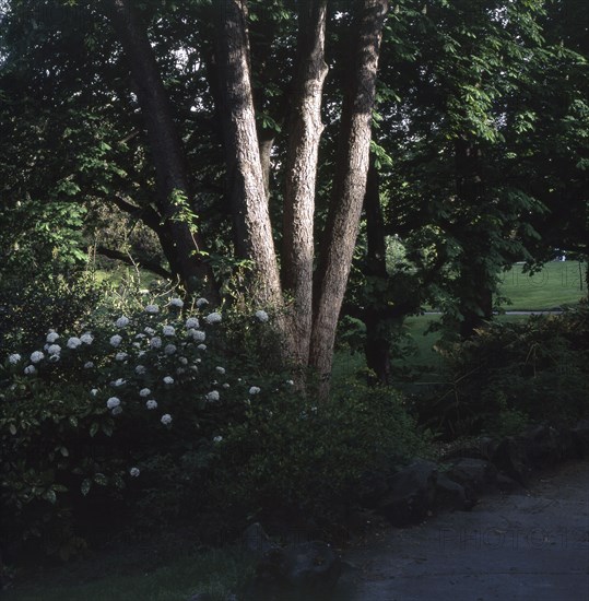 Kellermann garden in Paris