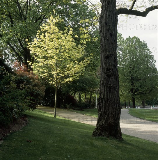 Kellermann garden in Paris