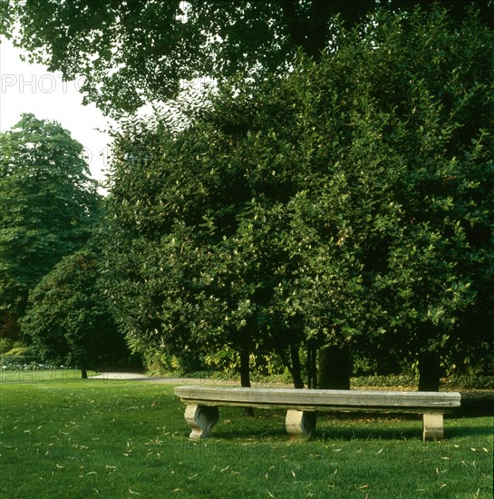 Parc de l'hôtel Matignon à Paris