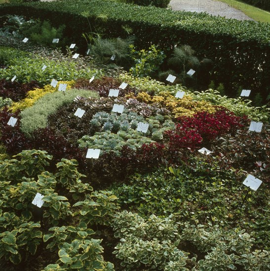 Parc floral à Paris