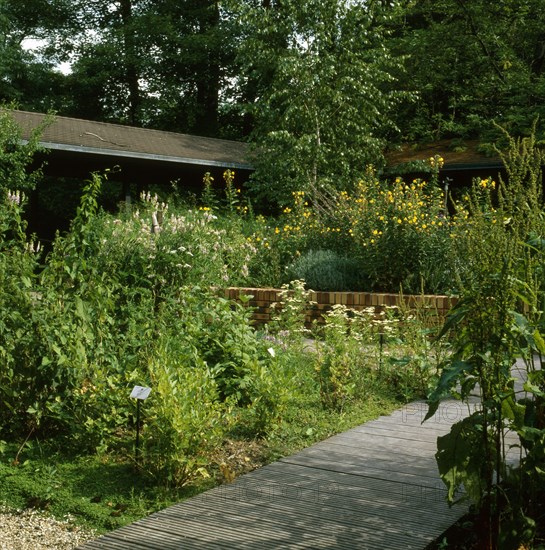 The Parc floral in Paris