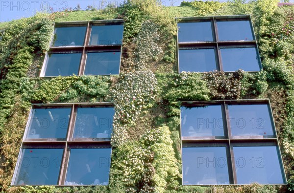 Façade végétale du musée du Quai Branly