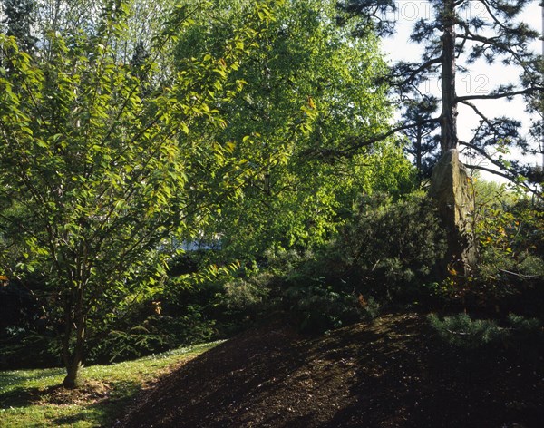 Jardin de l'Unesco à Paris