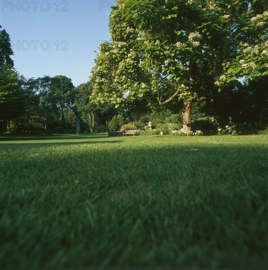 The British Embassy gardens in Paris