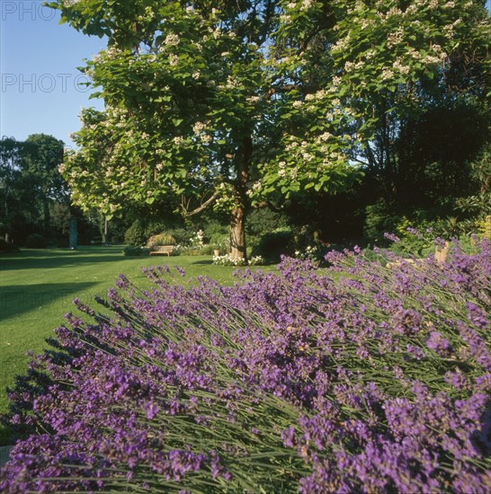 The British Embassy gardens in Paris