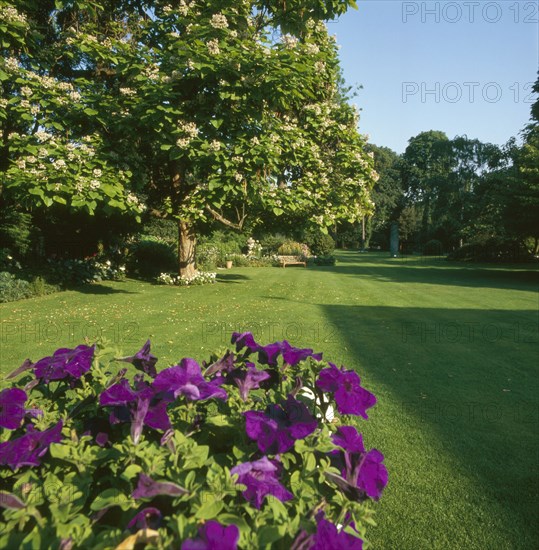 The British Embassy gardens in Paris