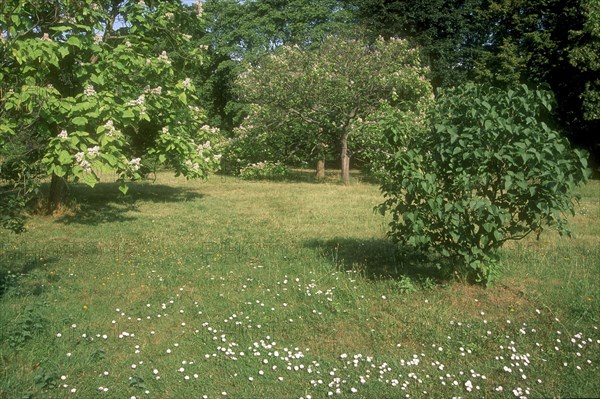 Arboretum de l'école du Breuil à Paris