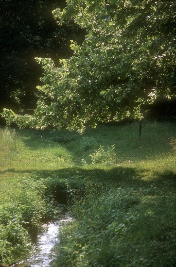 Arboretum de l'école du Breuil à Paris