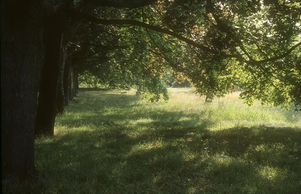 Arboretum de l'école du Breuil à Paris