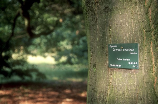 Arboretum de l'école du Breuil in Paris