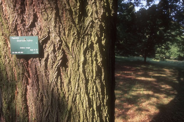 Arboretum de l'école du Breuil à Paris