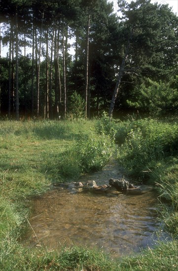 Arboretum de l'école du Breuil à Paris