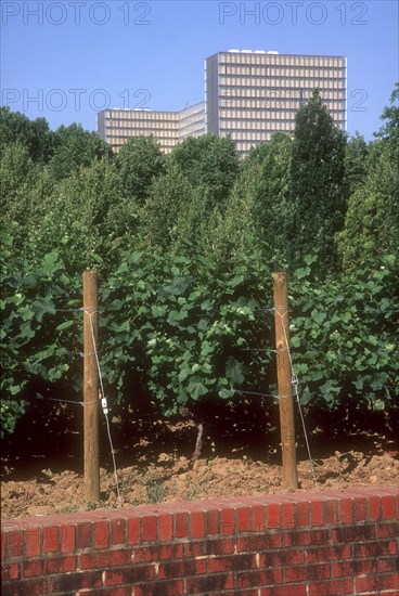 Parc de Bercy à Paris