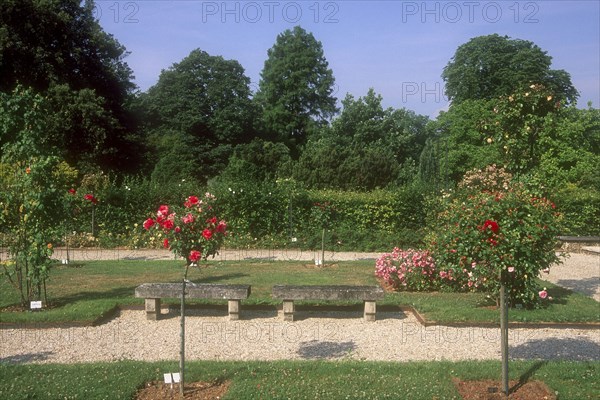 Arboretum de l'école du Breuil à Paris