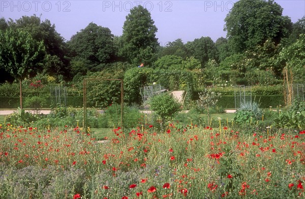 Arboretum de l'école du Breuil in Paris