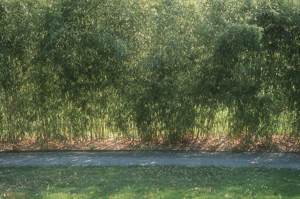 Arboretum de l'école du Breuil in Paris