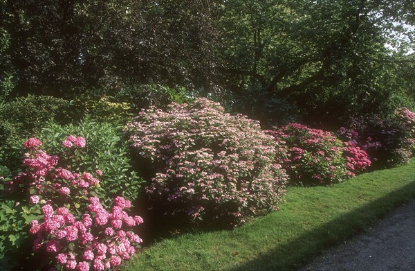 Arboretum de l'école du Breuil in Paris