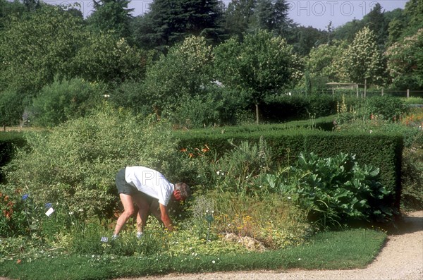 Arboretum de l'école du Breuil à Paris