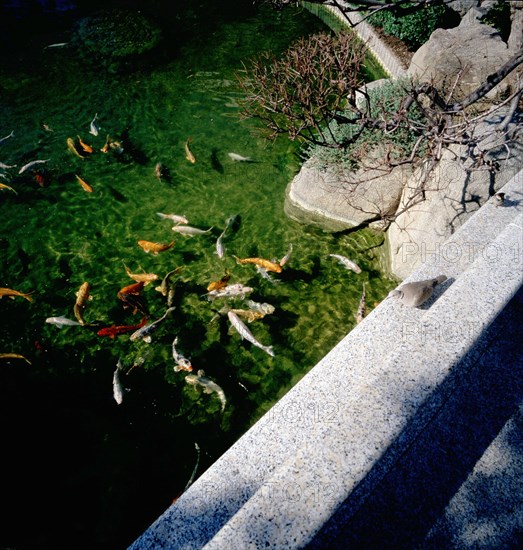 Monaco, Jardin Japonais