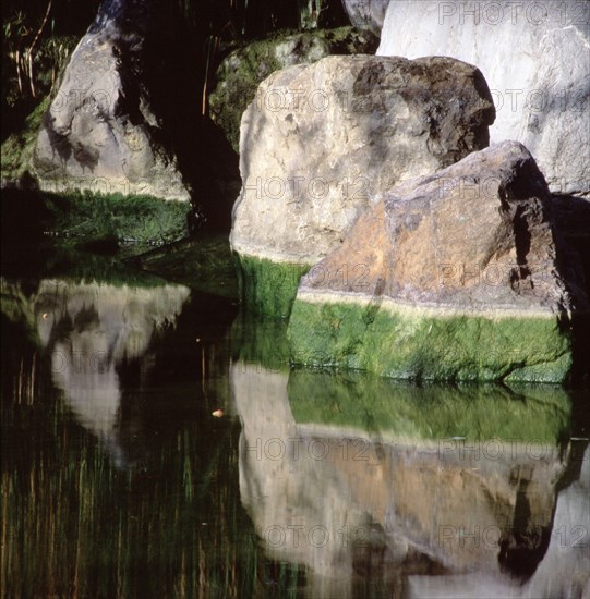 Monaco, Jardin Japonais