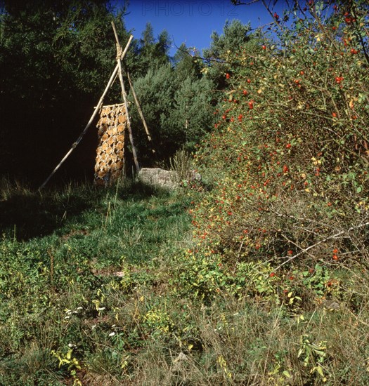 Arboretum de Roure (Alpes-Maritimes)