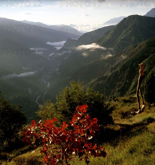 Arboretum de Roure (Alpes-Maritimes)