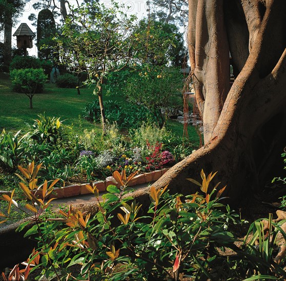 Monaco, Jardins du Palais des Grimaldi