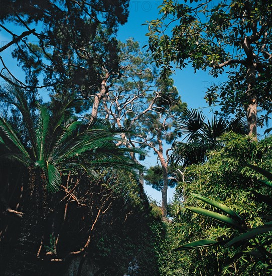 Monaco, Jardins du Palais des Grimaldi