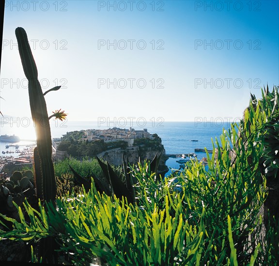 Monaco, Jardin exotique