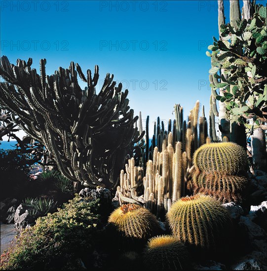 Monaco, Jardin exotique