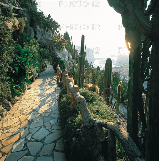 Monaco, Jardin exotique