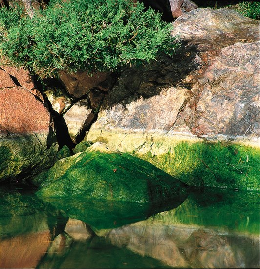 Monaco, Jardin Japonais